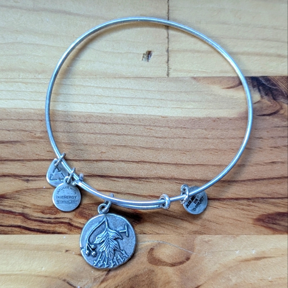 Alex & Ani Hawthorn Bracelet